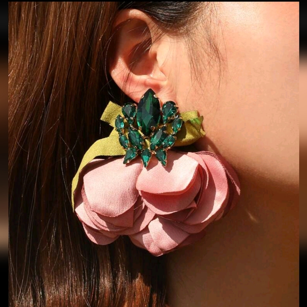 What a Beautiful Earrings